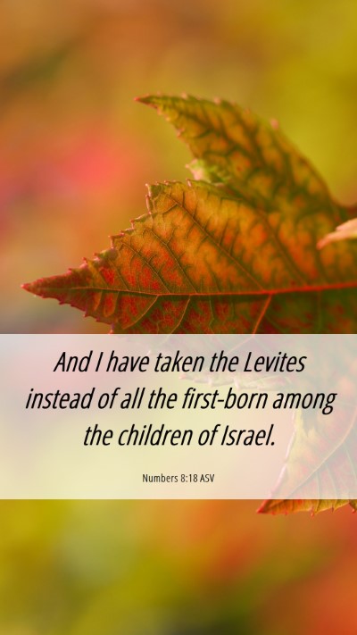 Picture 06 - Numbers 8:18 ASV Mobile Phone Wallpaper - And I have taken the Levites instead of all the - Mobile Bible Verse Wallpaper