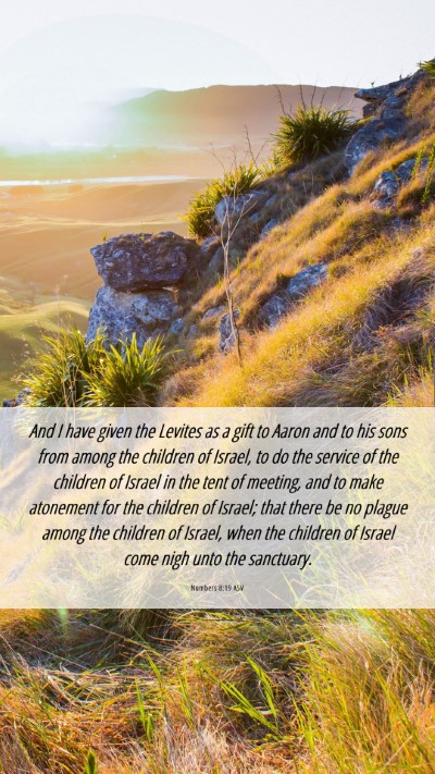Picture 06 - Numbers 8:19 ASV Mobile Phone Wallpaper - And I have given the Levites as a gift to Aaron - Mobile Bible Verse Wallpaper