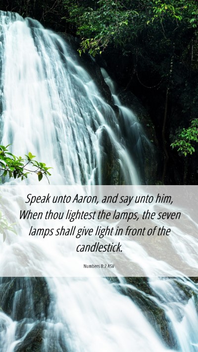 Picture 06 - Numbers 8:2 ASV Mobile Phone Wallpaper - Speak unto Aaron, and say unto him, When thou - Mobile Bible Verse Wallpaper