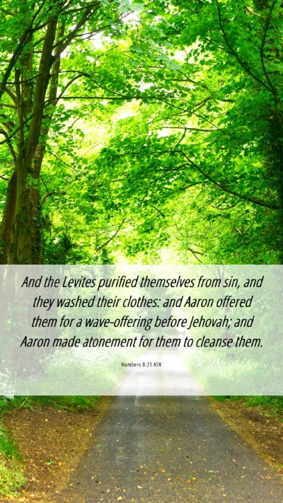 Picture 06 - Numbers 8:21 ASV Mobile Phone Wallpaper - And the Levites purified themselves from sin, and - Mobile Bible Verse Wallpaper