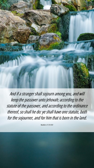 Picture 06 - Numbers 9:14 ASV Mobile Phone Wallpaper - And if a stranger shall sojourn among you, and - Mobile Bible Verse Wallpaper