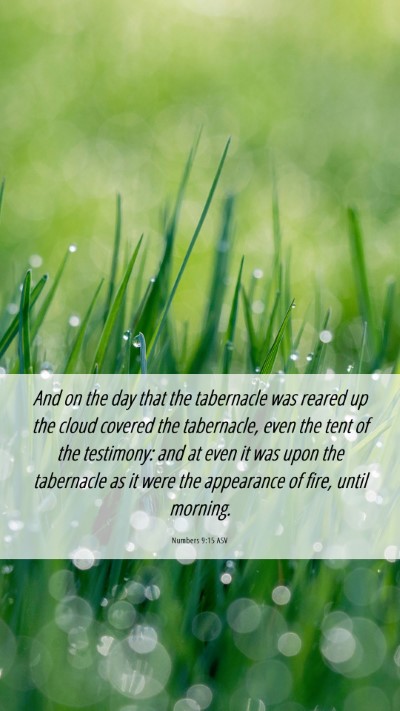 Picture 06 - Numbers 9:15 ASV Mobile Phone Wallpaper - And on the day that the tabernacle was reared up - Mobile Bible Verse Wallpaper