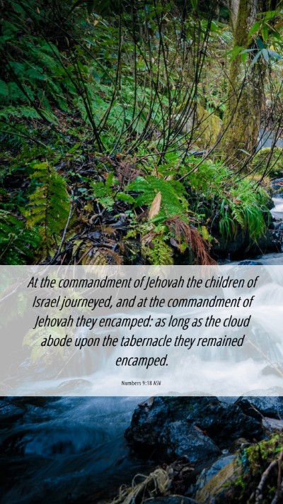 Picture 06 - Numbers 9:18 ASV Mobile Phone Wallpaper - At the commandment of Jehovah the children of - Mobile Bible Verse Wallpaper