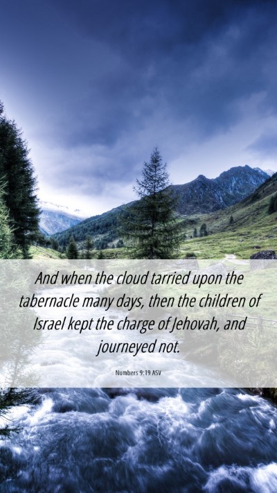Picture 06 - Numbers 9:19 ASV Mobile Phone Wallpaper - And when the cloud tarried upon the tabernacle - Mobile Bible Verse Wallpaper