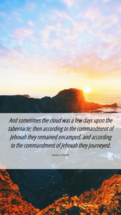 Picture 06 - Numbers 9:20 ASV Mobile Phone Wallpaper - And sometimes the cloud was a few days upon the - Mobile Bible Verse Wallpaper