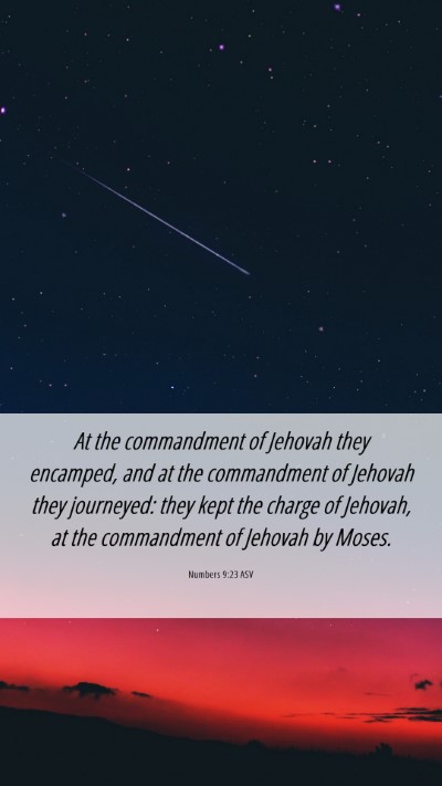 Picture 06 - Numbers 9:23 ASV Mobile Phone Wallpaper - At the commandment of Jehovah they encamped, and - Mobile Bible Verse Wallpaper