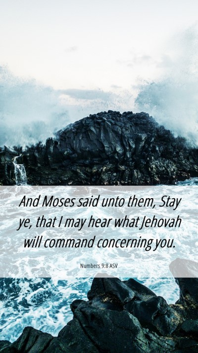 Picture 06 - Numbers 9:8 ASV Mobile Phone Wallpaper - And Moses said unto them, Stay ye, that I may - Mobile Bible Verse Wallpaper