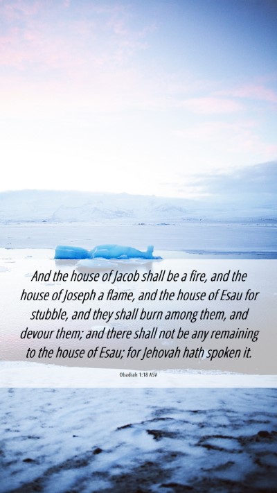 Picture 06 - Obadiah 1:18 ASV Mobile Phone Wallpaper - And the house of Jacob shall be a fire, and the - Mobile Bible Verse Wallpaper