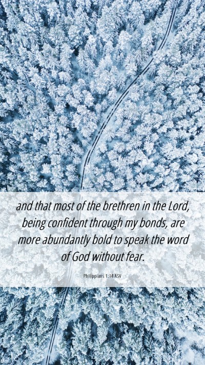 Picture 06 - Philippians 1:14 ASV Mobile Phone Wallpaper - and that most of the brethren in the Lord, being - Mobile Bible Verse Wallpaper