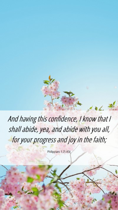 Picture 06 - Philippians 1:25 ASV Mobile Phone Wallpaper - And having this confidence, I know that I shall - Mobile Bible Verse Wallpaper
