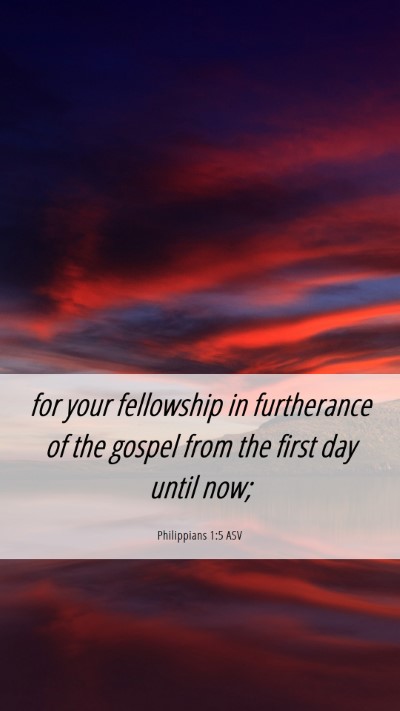 Picture 06 - Philippians 1:5 ASV Mobile Phone Wallpaper - for your fellowship in furtherance of the gospel - Mobile Bible Verse Wallpaper