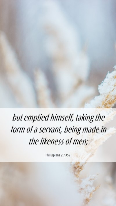 Picture 06 - Philippians 2:7 ASV Mobile Phone Wallpaper - but emptied himself, taking the form of a - Mobile Bible Verse Wallpaper