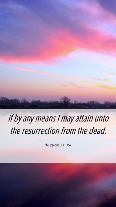 Picture 06 - Philippians 3:11 ASV Mobile Phone Wallpaper - if by any means I may attain unto the - Mobile Bible Verse Wallpaper