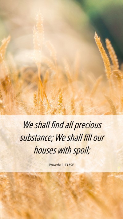 Picture 06 - Proverbs 1:13 ASV Mobile Phone Wallpaper - We shall find all precious substance; We shall - Mobile Bible Verse Wallpaper