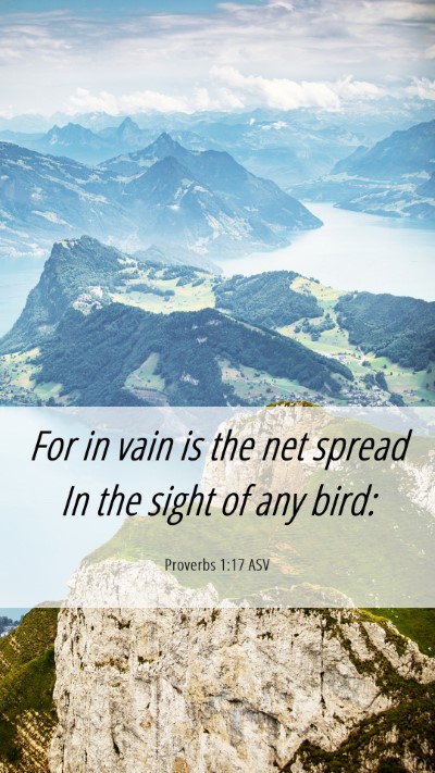 Picture 06 - Proverbs 1:17 ASV Mobile Phone Wallpaper - For in vain is the net spread In the sight of any - Mobile Bible Verse Wallpaper