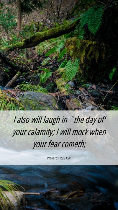 Picture 06 - Proverbs 1:26 ASV Mobile Phone Wallpaper - I also will laugh in `the day of' your calamity; - Mobile Bible Verse Wallpaper