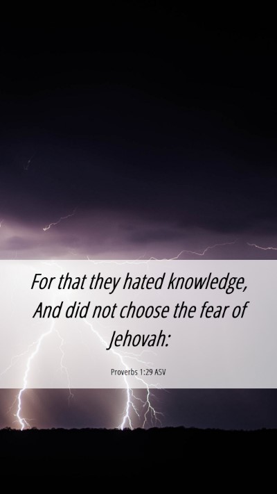 Picture 06 - Proverbs 1:29 ASV Mobile Phone Wallpaper - For that they hated knowledge, And did not choose - Mobile Bible Verse Wallpaper