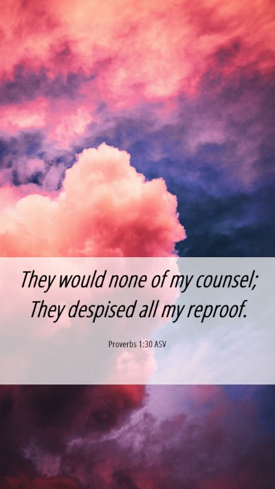 Picture 06 - Proverbs 1:30 ASV Mobile Phone Wallpaper - They would none of my counsel; They despised all - Mobile Bible Verse Wallpaper