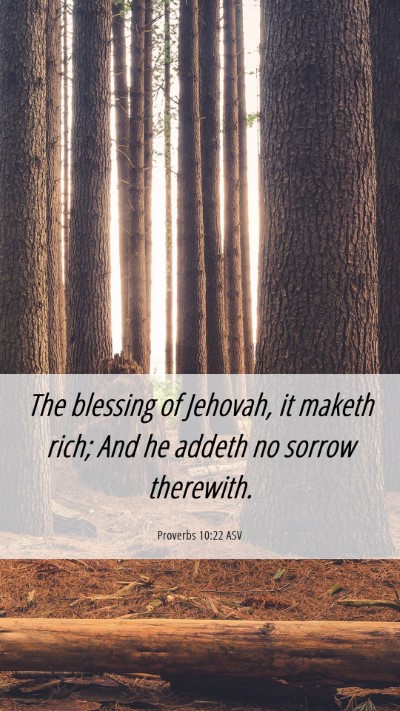 Picture 06 - Proverbs 10:22 ASV Mobile Phone Wallpaper - The blessing of Jehovah, it maketh rich; And he - Mobile Bible Verse Wallpaper