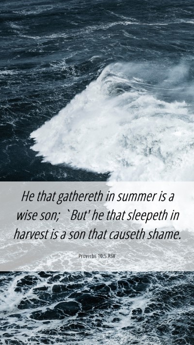 Picture 06 - Proverbs 10:5 ASV Mobile Phone Wallpaper - He that gathereth in summer is a wise son; `But' - Mobile Bible Verse Wallpaper