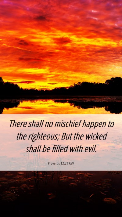 Picture 06 - Proverbs 12:21 ASV Mobile Phone Wallpaper - There shall no mischief happen to the righteous; - Mobile Bible Verse Wallpaper