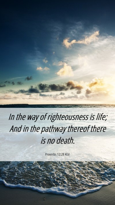 Picture 06 - Proverbs 12:28 ASV Mobile Phone Wallpaper - In the way of righteousness is life; And in the - Mobile Bible Verse Wallpaper