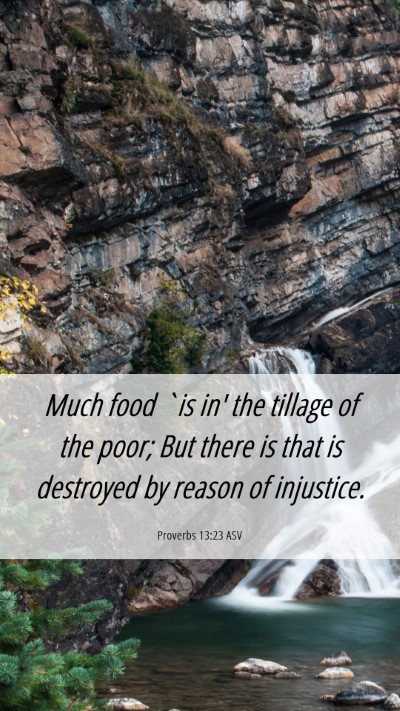 Picture 06 - Proverbs 13:23 ASV Mobile Phone Wallpaper - Much food `is in' the tillage of the poor; But - Mobile Bible Verse Wallpaper