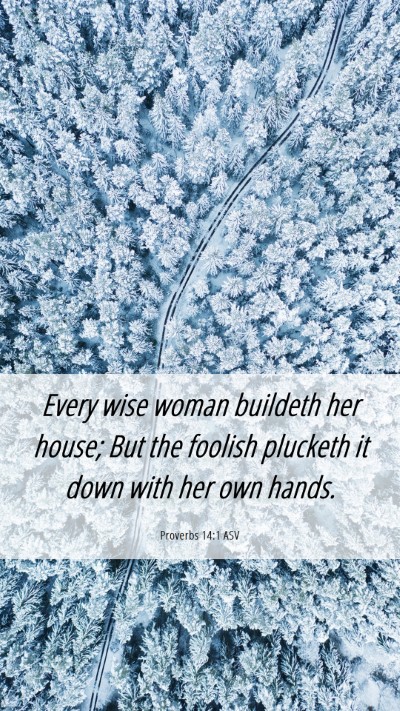 Picture 06 - Proverbs 14:1 ASV Mobile Phone Wallpaper - Every wise woman buildeth her house; But the - Mobile Bible Verse Wallpaper