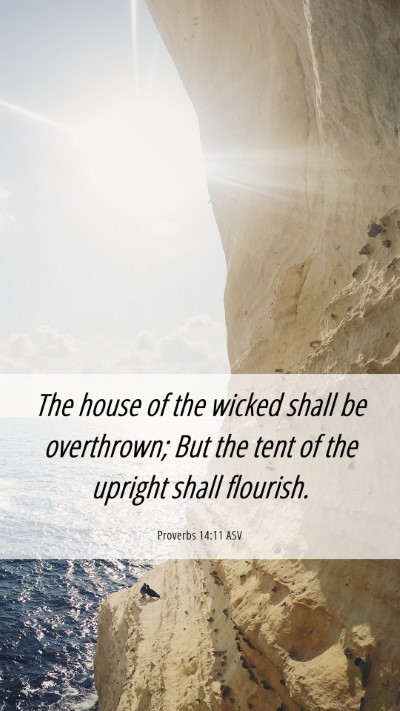 Picture 06 - Proverbs 14:11 ASV Mobile Phone Wallpaper - The house of the wicked shall be overthrown; But - Mobile Bible Verse Wallpaper