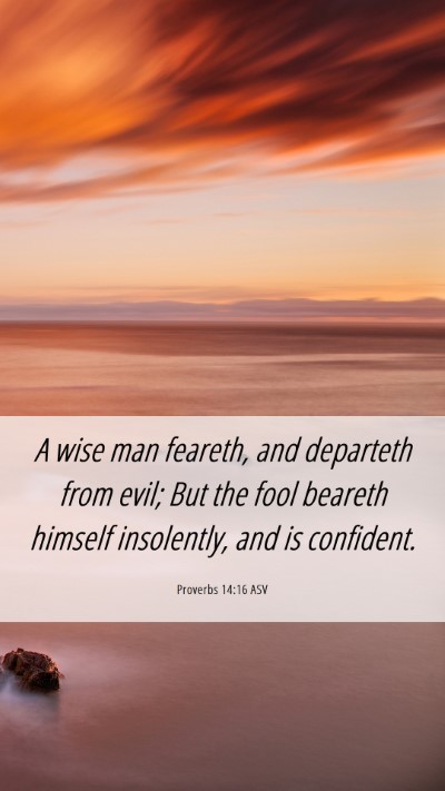 Picture 06 - Proverbs 14:16 ASV Mobile Phone Wallpaper - A wise man feareth, and departeth from evil; But - Mobile Bible Verse Wallpaper