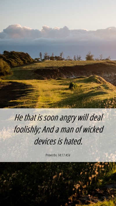 Picture 06 - Proverbs 14:17 ASV Mobile Phone Wallpaper - He that is soon angry will deal foolishly; And a - Mobile Bible Verse Wallpaper