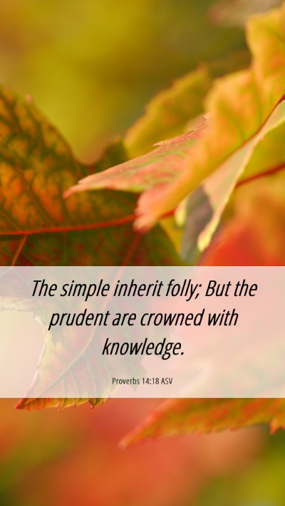 Picture 06 - Proverbs 14:18 ASV Mobile Phone Wallpaper - The simple inherit folly; But the prudent are - Mobile Bible Verse Wallpaper