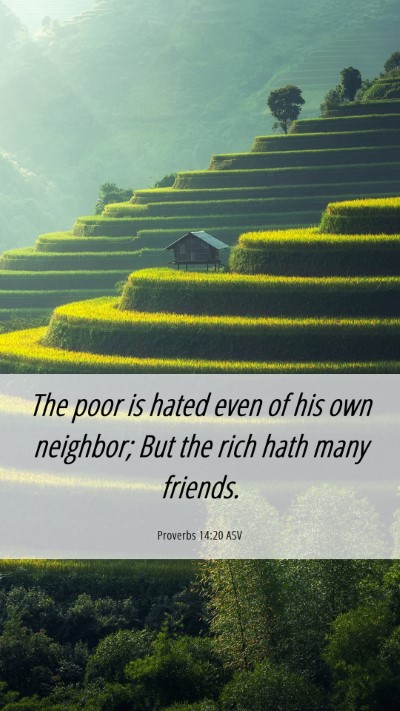 Picture 06 - Proverbs 14:20 ASV Mobile Phone Wallpaper - The poor is hated even of his own neighbor; But - Mobile Bible Verse Wallpaper