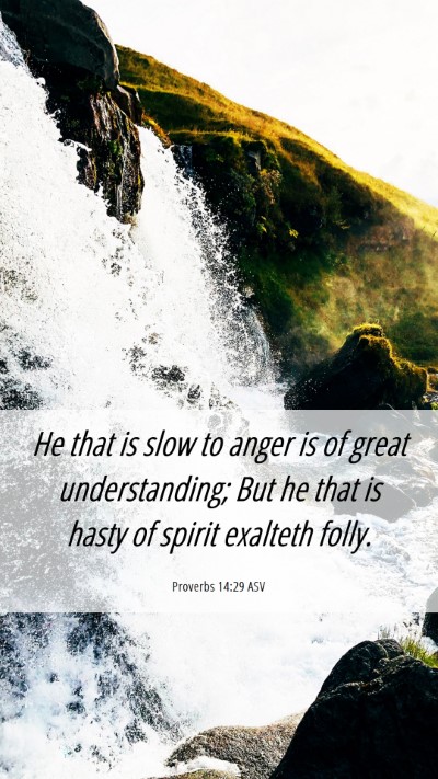 Picture 06 - Proverbs 14:29 ASV Mobile Phone Wallpaper - He that is slow to anger is of great - Mobile Bible Verse Wallpaper