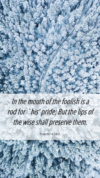Picture 06 - Proverbs 14:3 ASV Mobile Phone Wallpaper - In the mouth of the foolish is a rod for `his' - Mobile Bible Verse Wallpaper
