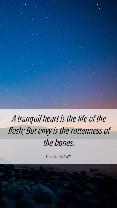 Picture 06 - Proverbs 14:30 ASV Mobile Phone Wallpaper - A tranquil heart is the life of the flesh; But - Mobile Bible Verse Wallpaper