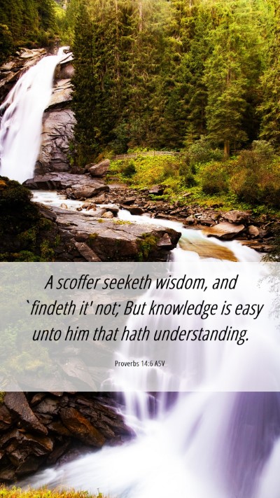 Picture 06 - Proverbs 14:6 ASV Mobile Phone Wallpaper - A scoffer seeketh wisdom, and `findeth it' not; - Mobile Bible Verse Wallpaper