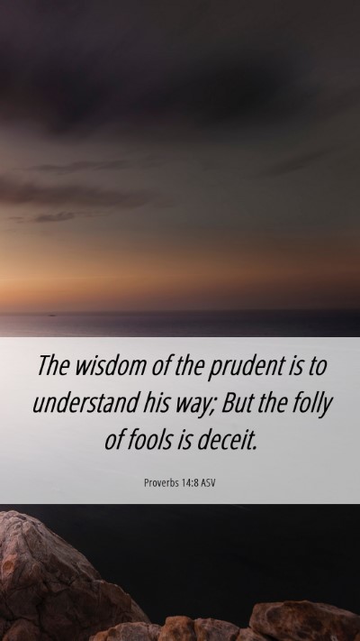 Picture 06 - Proverbs 14:8 ASV Mobile Phone Wallpaper - The wisdom of the prudent is to understand his - Mobile Bible Verse Wallpaper
