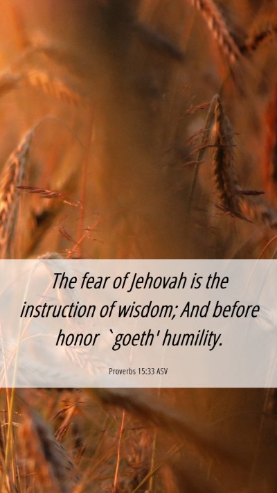 Picture 06 - Proverbs 15:33 ASV Mobile Phone Wallpaper - The fear of Jehovah is the instruction of wisdom; - Mobile Bible Verse Wallpaper