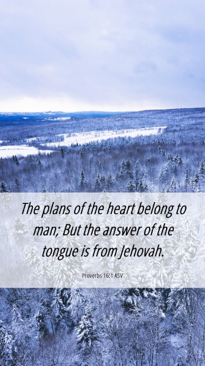Picture 06 - Proverbs 16:1 ASV Mobile Phone Wallpaper - The plans of the heart belong to man; But the - Mobile Bible Verse Wallpaper