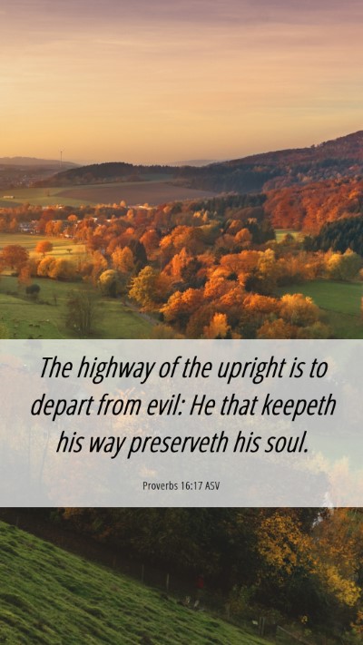 Picture 06 - Proverbs 16:17 ASV Mobile Phone Wallpaper - The highway of the upright is to depart from - Mobile Bible Verse Wallpaper