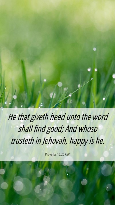 Picture 06 - Proverbs 16:20 ASV Mobile Phone Wallpaper - He that giveth heed unto the word shall find - Mobile Bible Verse Wallpaper