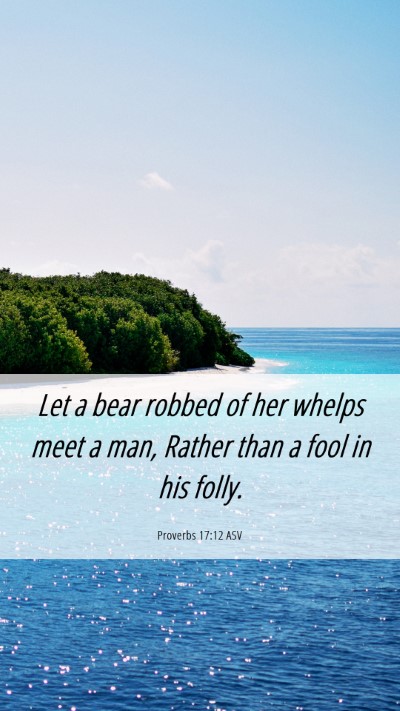 Picture 06 - Proverbs 17:12 ASV Mobile Phone Wallpaper - Let a bear robbed of her whelps meet a man, - Mobile Bible Verse Wallpaper