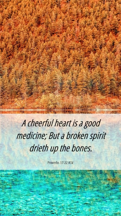 Picture 06 - Proverbs 17:22 ASV Mobile Phone Wallpaper - A cheerful heart is a good medicine; But a broken - Mobile Bible Verse Wallpaper