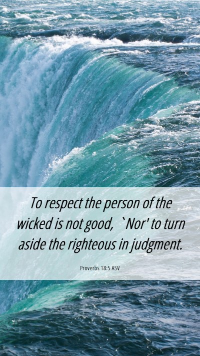 Picture 06 - Proverbs 18:5 ASV Mobile Phone Wallpaper - To respect the person of the wicked is not good, - Mobile Bible Verse Wallpaper
