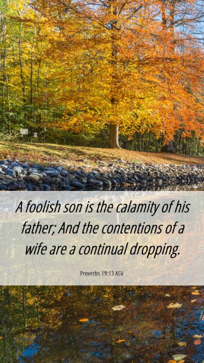 Picture 06 - Proverbs 19:13 ASV Mobile Phone Wallpaper - A foolish son is the calamity of his father; And - Mobile Bible Verse Wallpaper