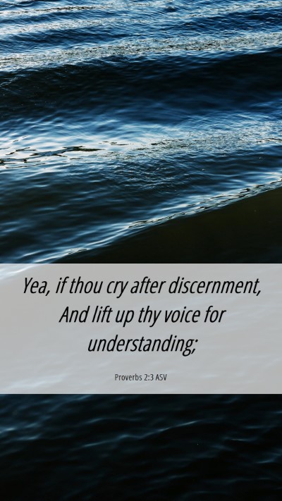 Picture 06 - Proverbs 2:3 ASV Mobile Phone Wallpaper - Yea, if thou cry after discernment, And lift up - Mobile Bible Verse Wallpaper