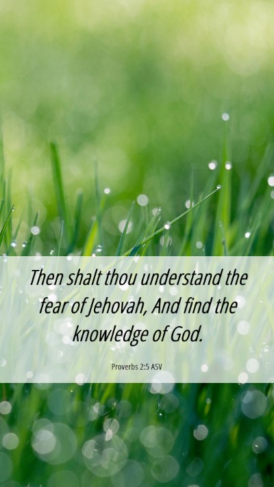 Picture 06 - Proverbs 2:5 ASV Mobile Phone Wallpaper - Then shalt thou understand the fear of Jehovah, - Mobile Bible Verse Wallpaper