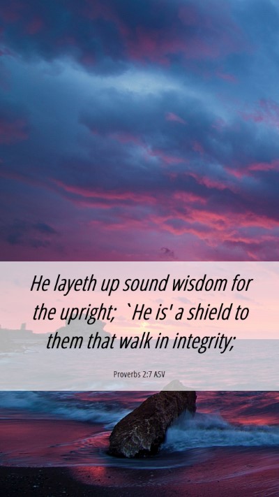 Picture 06 - Proverbs 2:7 ASV Mobile Phone Wallpaper - He layeth up sound wisdom for the upright; `He - Mobile Bible Verse Wallpaper