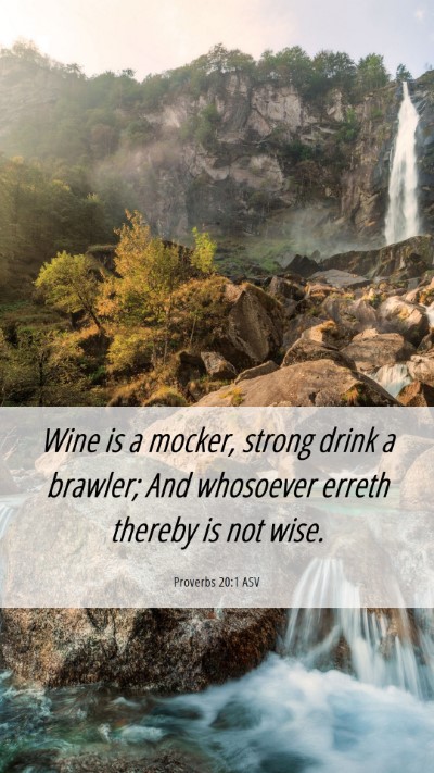 Picture 06 - Proverbs 20:1 ASV Mobile Phone Wallpaper - Wine is a mocker, strong drink a brawler; And - Mobile Bible Verse Wallpaper